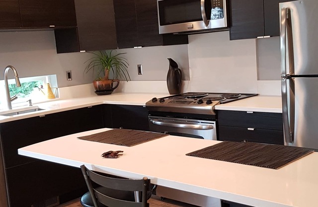 Modern condo near Microsoft for business and leisure travelers