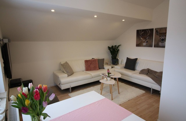 Modern. Cozy. Like at home