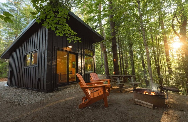 Modern, Luxurious Cabin in the Woods - 01