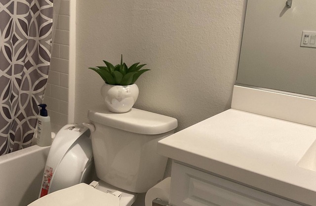 Modern Luxury Home in the heart of San Diego/5 mins to Sesame Theme Water Park