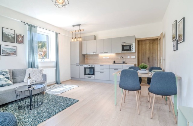Modern "ski-to-door" vacation apartment for 4 guests in the Klínovec ski area