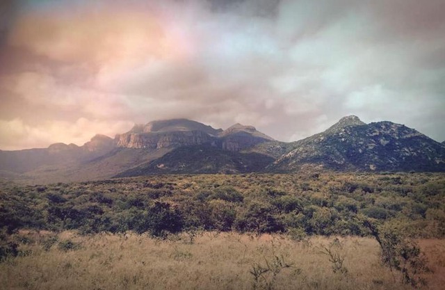 Moholoholo Mountain View