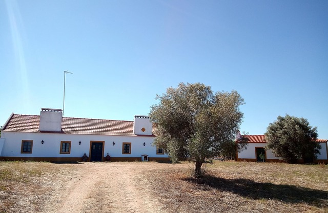Monte Alentejano for 4 people!Ideal for children!We accept animals!