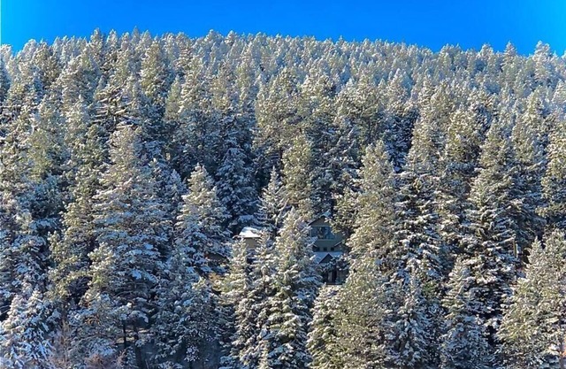 Morrison Mountain Getaway - Red Rocks - Denver