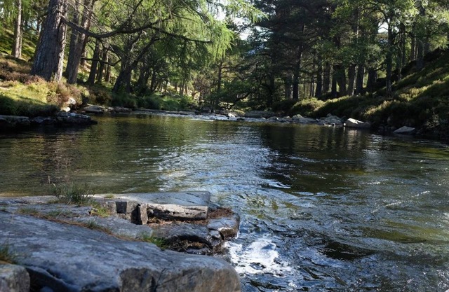 Morrone Cottage - Beautiful mountain cottage, large garden and wonderful views.