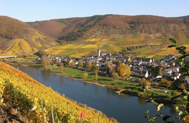 Mosel-Winzerhaus - Moselwinzerhaus