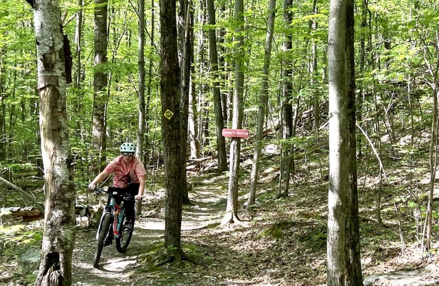 Mountain Hideaway condo - next to PICO and 10min to Killington!