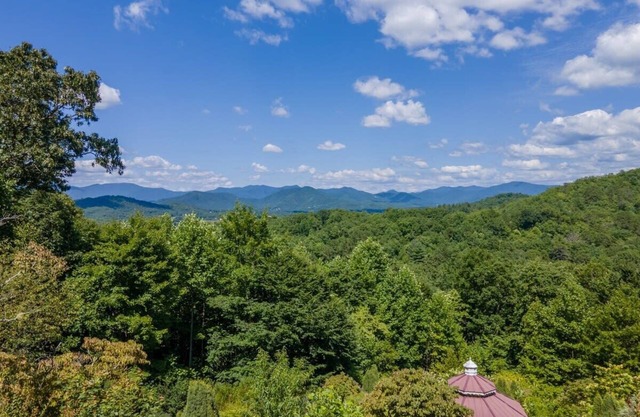 Mountain home w/views & poker table, serene setting