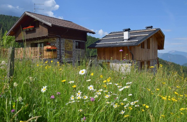 mountain house & pet friendly
