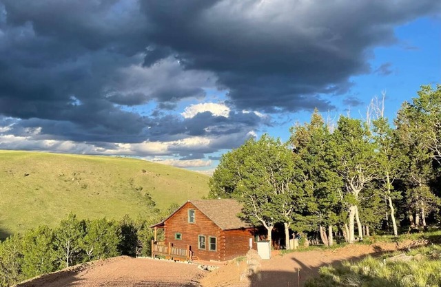 Mountain Meadow Cabin in Cotopaxi on 40 acres