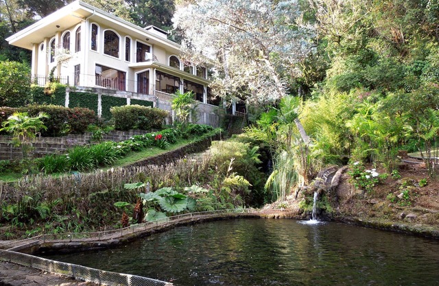 Mountain Retreat and Trout Fishing Adventure in a Tranquil Setting