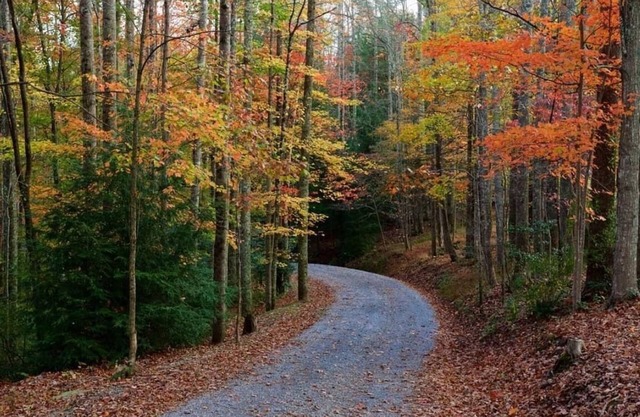 Mountain retreat! MODERN HOUSE 2 hours from DC