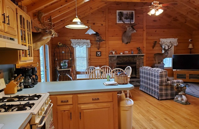 Mountain sanctuary. 3 bedroom country getaway in the Poconos. 18+ acres