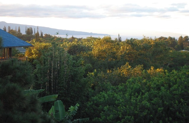Mountain to Ocean Views Pole House @ Maui Adventure Villa