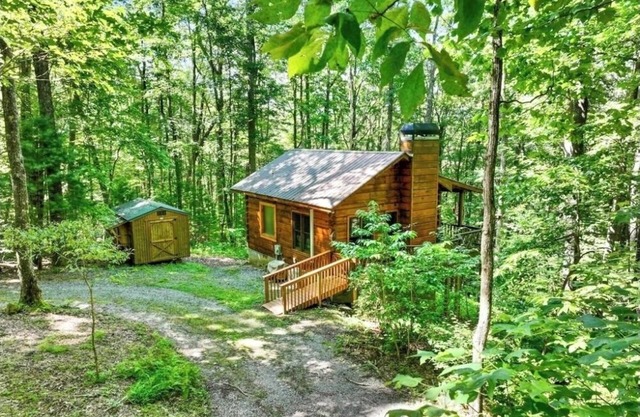 Mountain Top cabin when you need a break from EVERYTHING! Last min ok. No min nt