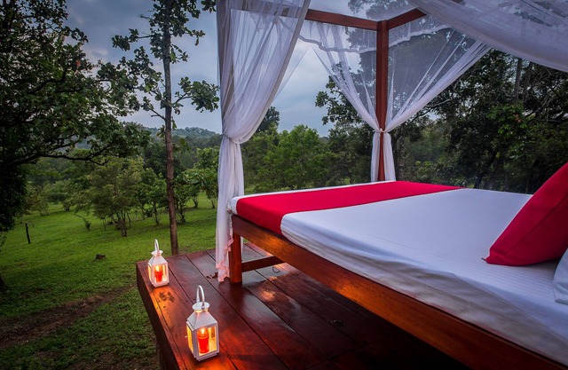 Mountain Top Glamping Star Beds & Bush Bathtubs