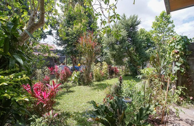 Mountain View Homestay