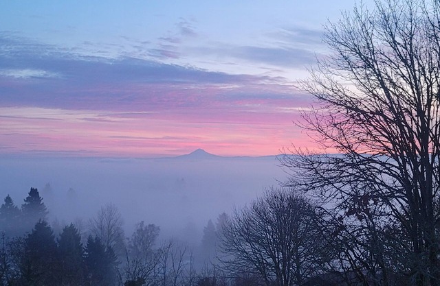 Mountain View Memories in the middle of Willamette and Yamhill Wine Country