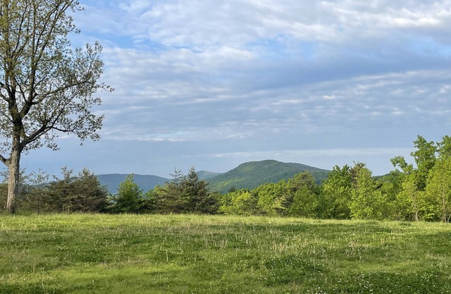 Mountain View Tiny House in Golf Capital of TN
