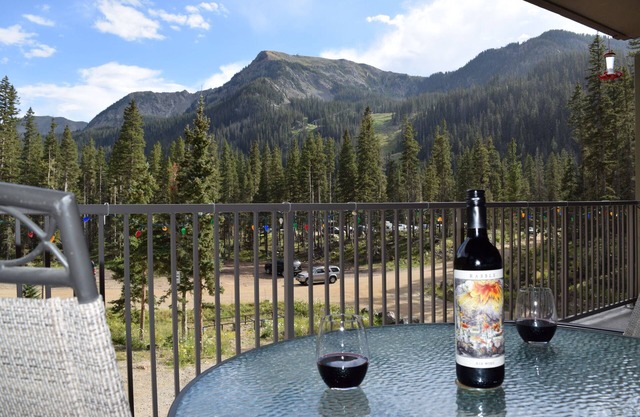 Mountain Views! Elevated Balcony! Walk to the Bavarian, Hiking trails, Lift 4