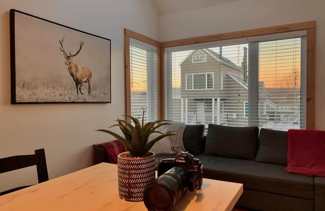 MSA rental condo--3 min from the mountain