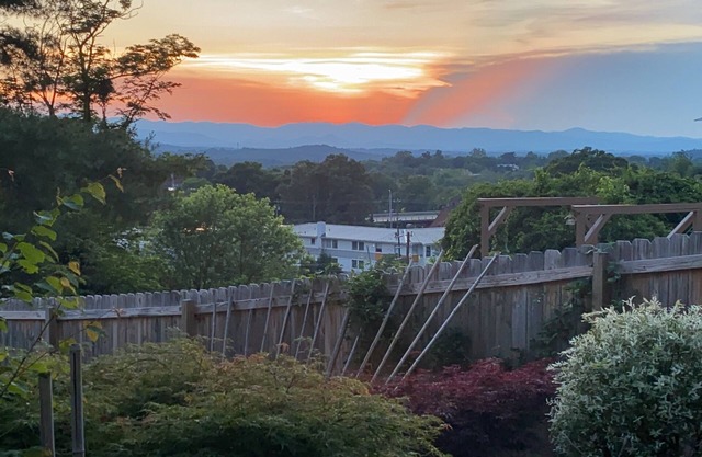 MTN VIEWS/1 Min to Downtown Asheville/Peaceful