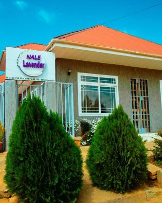 Nale Lavender