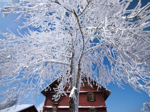Nature Escape in Kander Valley