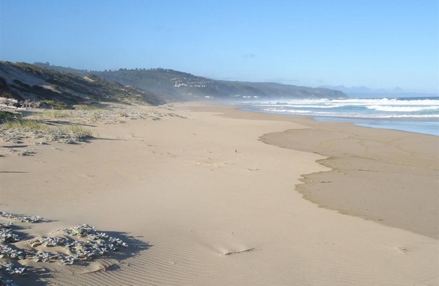 Nature Lover's Paradise! 100m to the Beach! Swimming Pool.