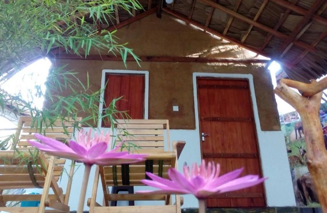 Nature Lovers Safari Resort: Cozy cottages, wildlife and unforgettable safaris.