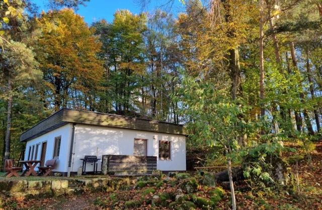 Nature oasis for rest and relaxation!