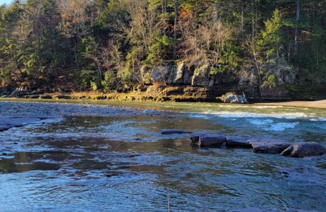 Nature's Haven: Hot tub, ATV, hiking & fishing!