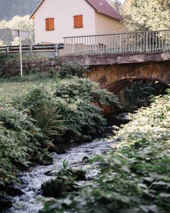 Nature stay in Alsace between stream and vineyard