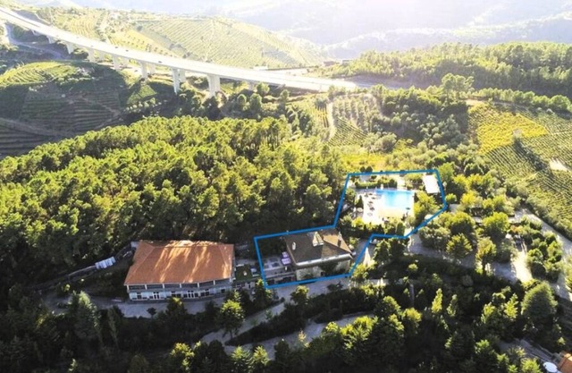 Nature Villa - Farm in the Douro