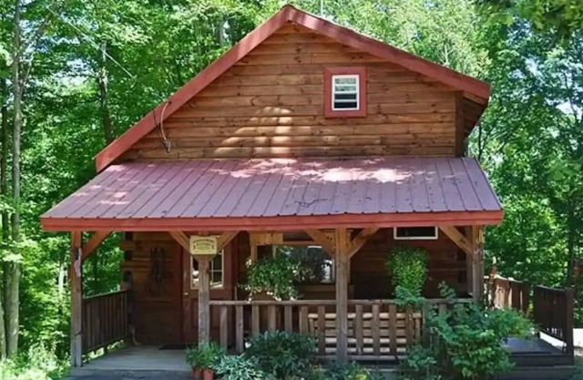 Nestled in nature, quaint & cozy little upscale rustic cabin. n