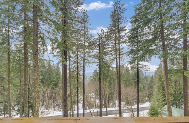 New listing! Gorgeous family-friendly home with private hot tub & mountain views