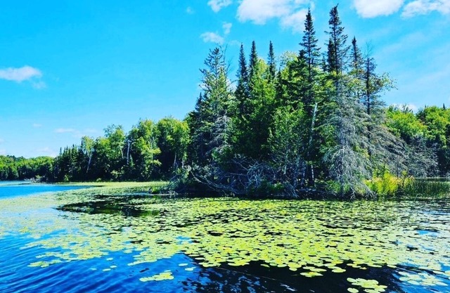 NEW Listing! Restful Lakeside Cabin ~ Resort Amenities!
