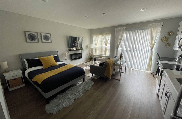 New Spacious Studio Apartment