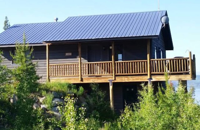 Newly-remodeled cabin, walk into town or to Lodge! Gorgeous views & great wi-fi!