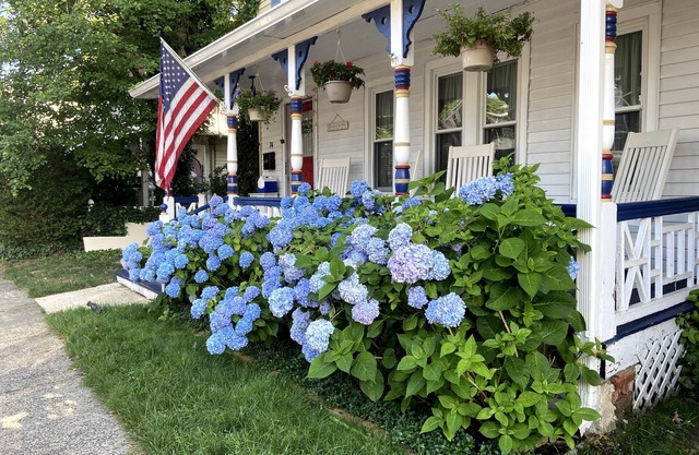 Newly renovated cheery 1BR vacation rental with private outdoor deck!