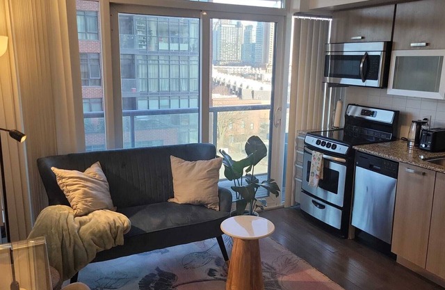 Newly Renovated Condo in Downtown Toronto