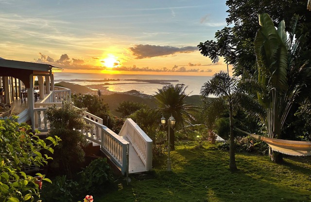 NEWLY RENOVATED! Villa Paradis ~ The perfect jungle escape.