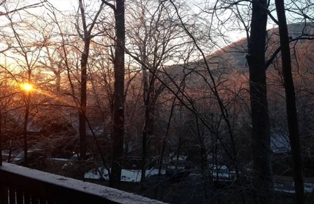 Newly Updated Cozy Condo in the Heart of Wintergreen! Pet friendly.