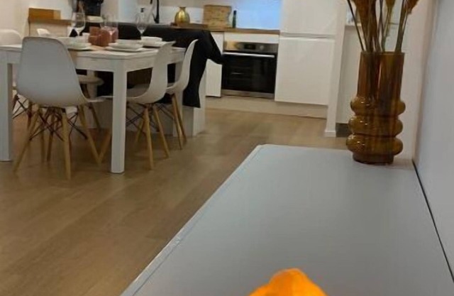 Nice and cosy flat near Geneva or Annecy