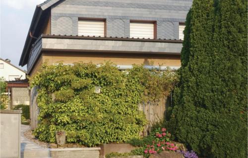 Nice Apartment In Schieder-Schwalenberg