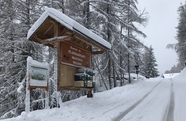 Nice Chalet LEON located in Plangagnant (1650 m) La PLAGNE - LA ROCHE chairlift