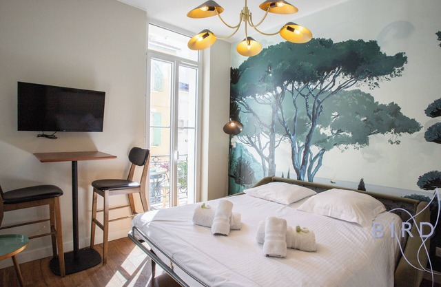 Nice Studio OLIVETTE