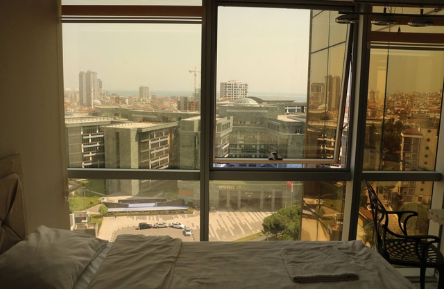 Nice view !