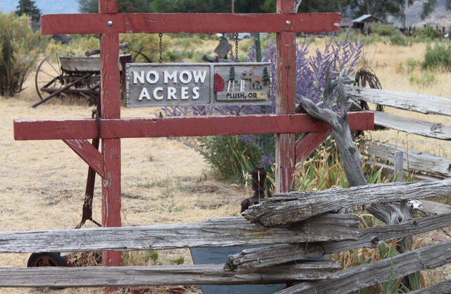 No Mow Acres /Located in the Oregon High Desert
