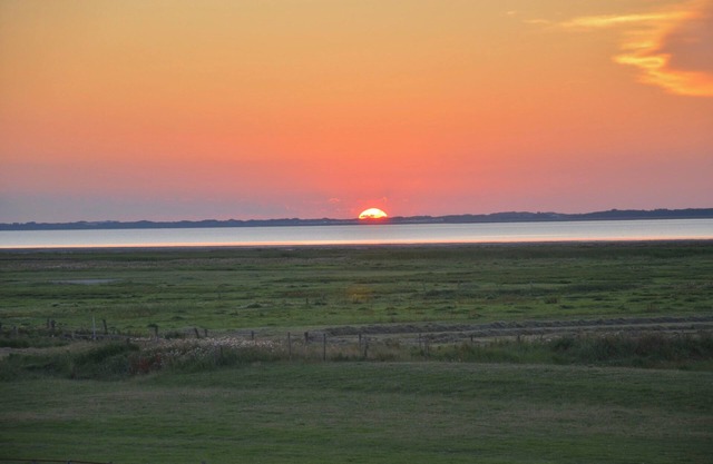 North Sea coast directly on the dike + natural beach